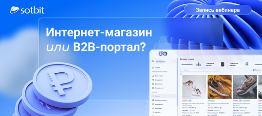 Интернет-магазин vs B2B-портал — что выбрать для B2B-продаж?