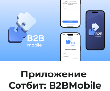 Картинка Сотбит: Сотбит: B2BMobile 9