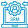 Внедрение SRM