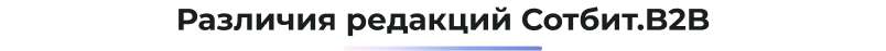 Картинка Сотбит: Сотбит: B2B портал Про 63
